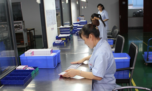 Productive Capacity