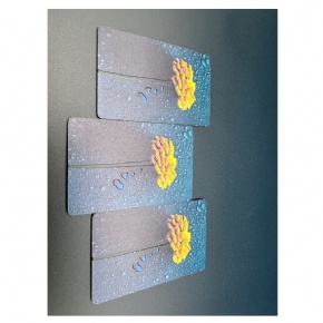 Custom Bamboo NFC Card