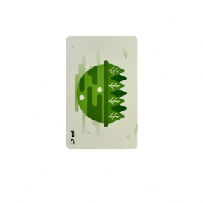 PETG Eco-Friendly RFID Card